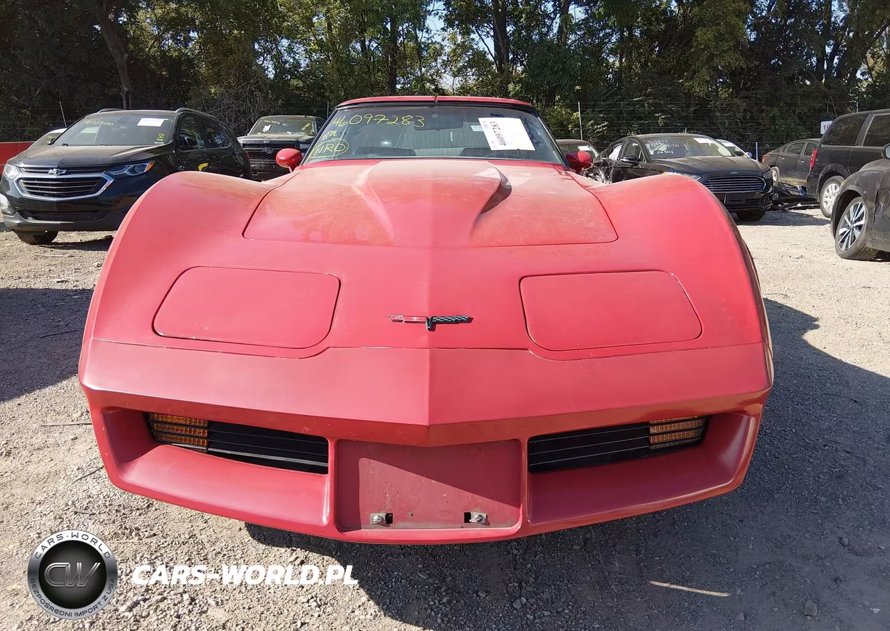 1981 Chevrolet Corvette VIN:1G1AY8766BS417631 - 12