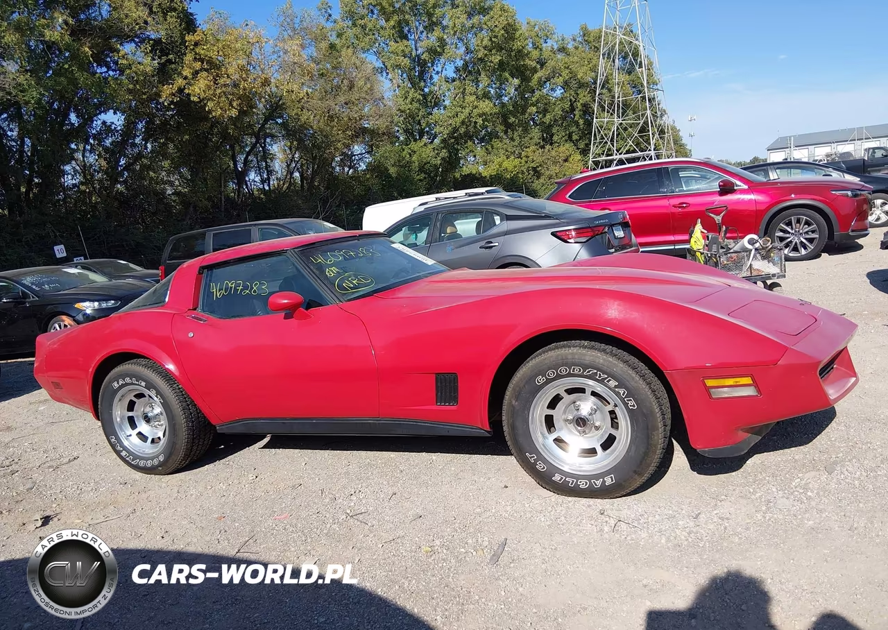 1981 Chevrolet Corvette VIN:1G1AY8766BS417631 - 13