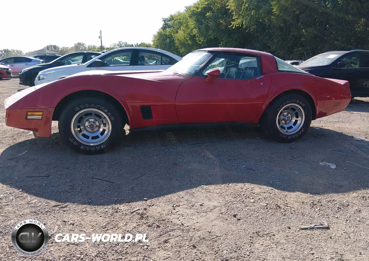 1981 Chevrolet Corvette VIN:1G1AY8766BS417631 - 14
