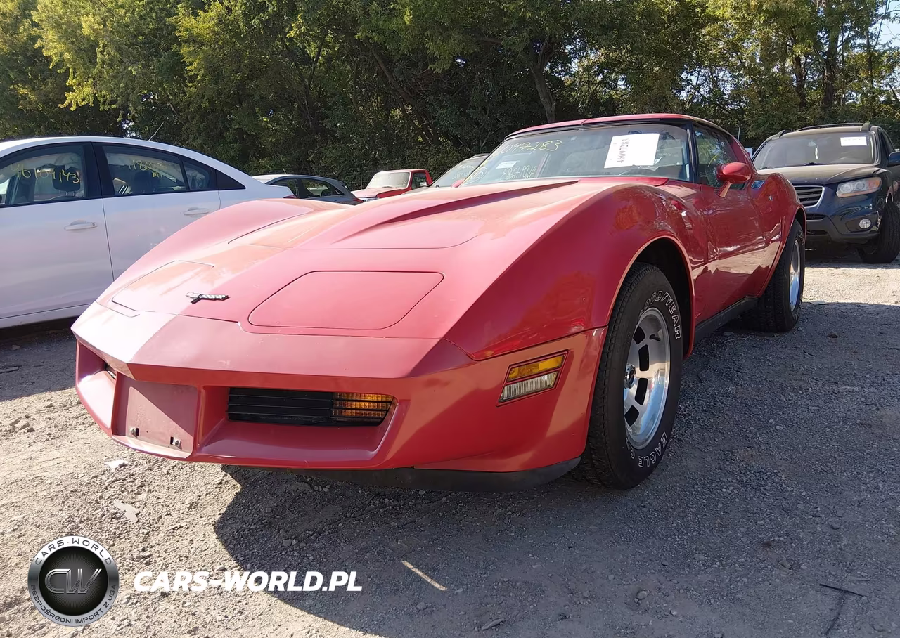 1981 Chevrolet Corvette VIN:1G1AY8766BS417631 - 2