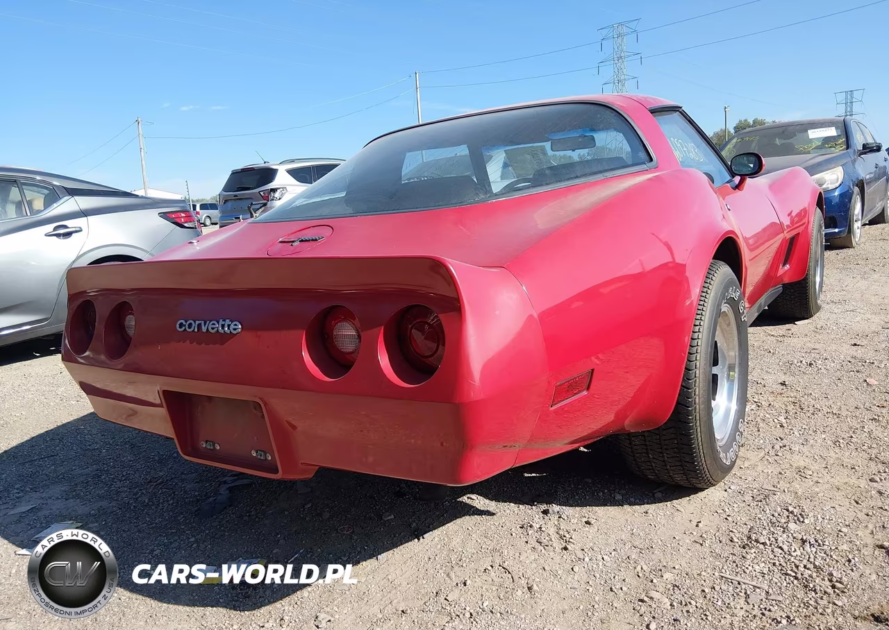 1981 Chevrolet Corvette VIN:1G1AY8766BS417631 - 4