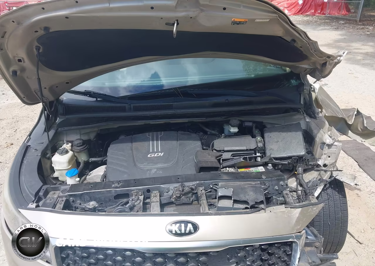 2016 Kia Sedona Lx VIN:KNDMB5C14G6124955 - 10
