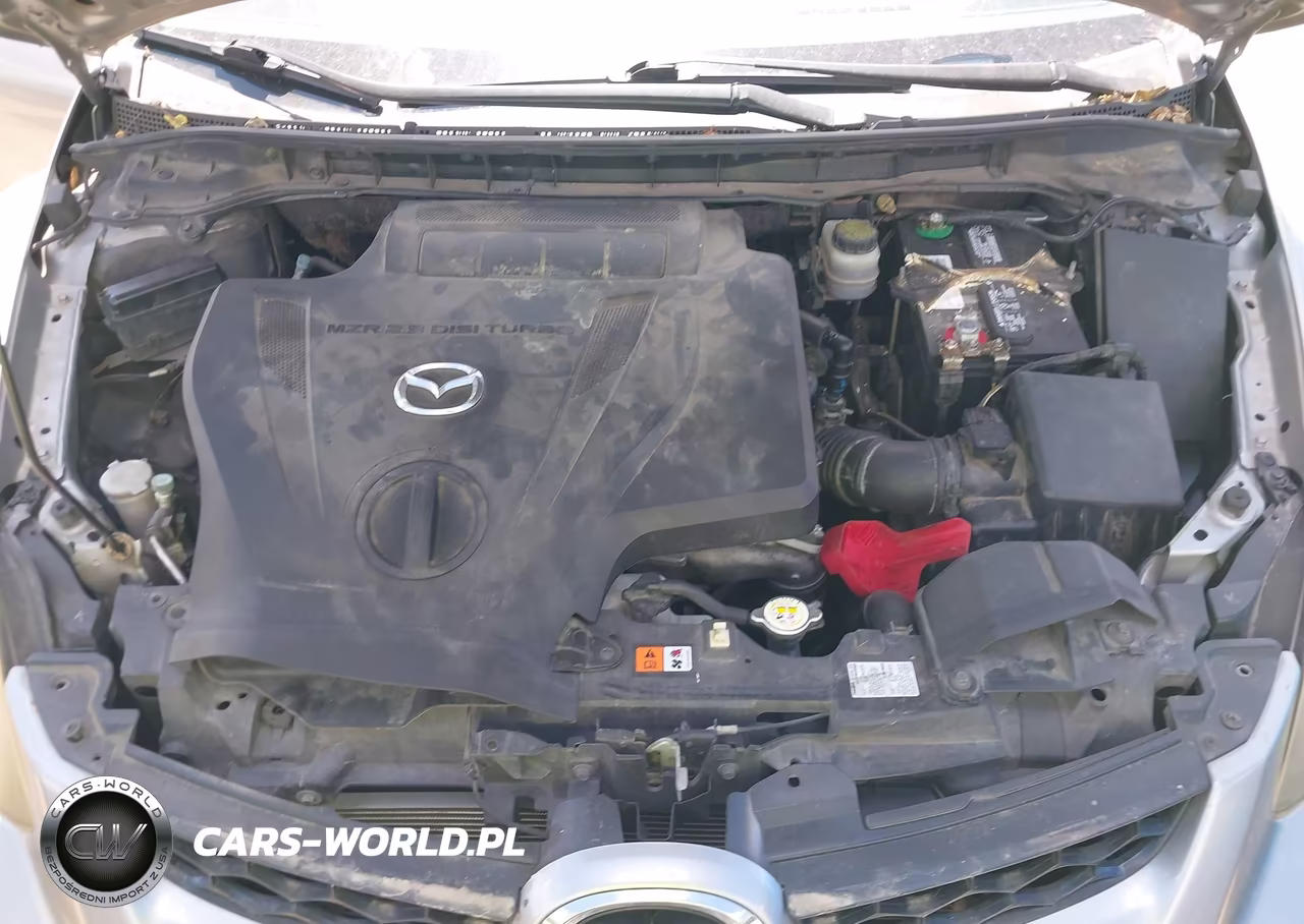 2010 Mazda Cx-7 S Touring VIN:JM3ER2W3XA0336322 - 10