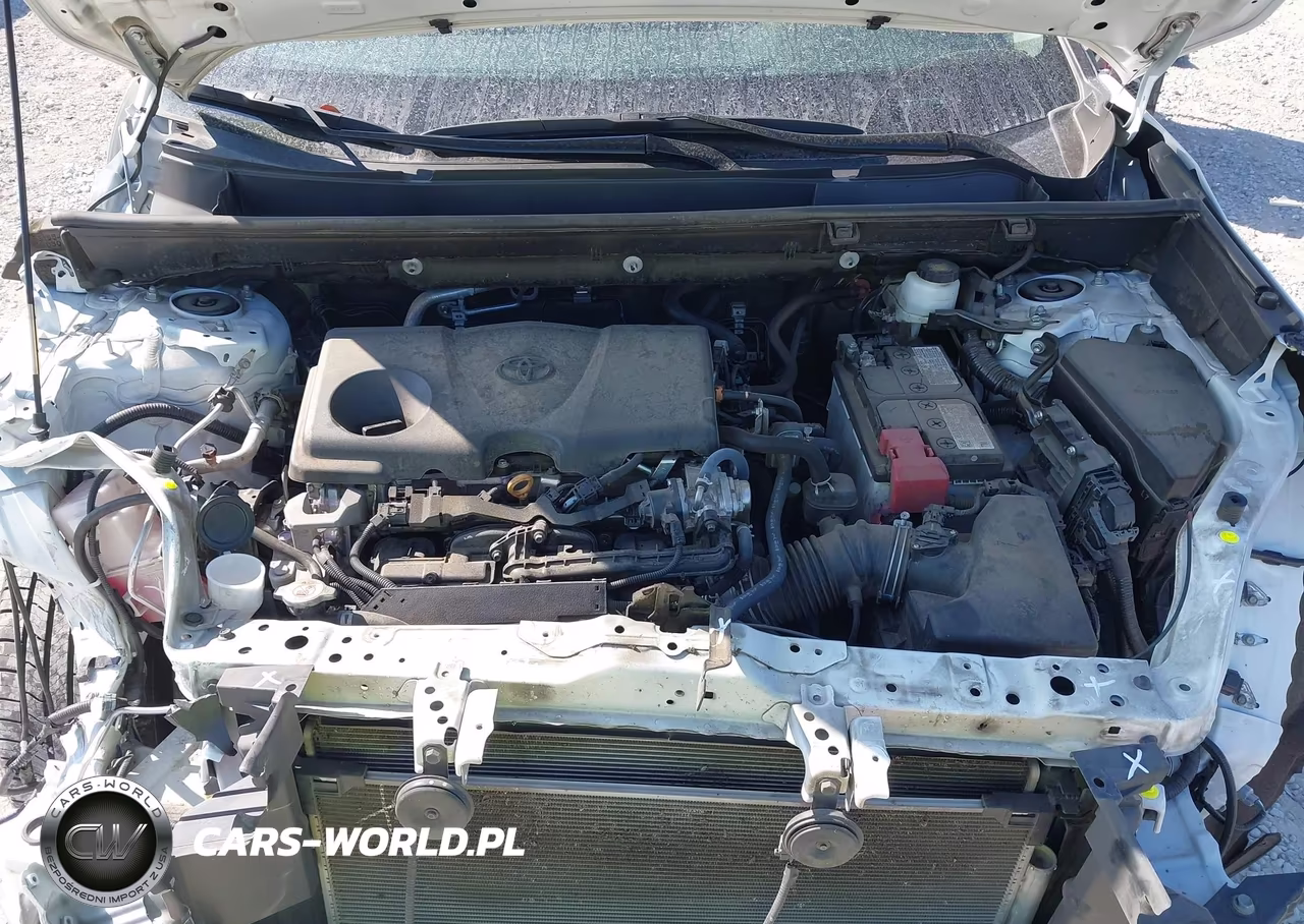 2024 Toyota Rav4 Xle VIN:2T3W1RFV3RC261809 - 10