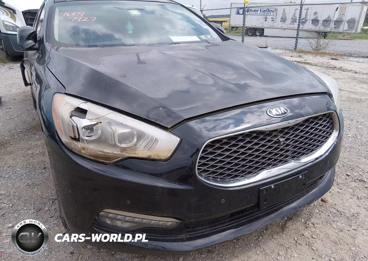 2015 Kia K900 Premium VIN:KNALU4D44F6025475 - 6