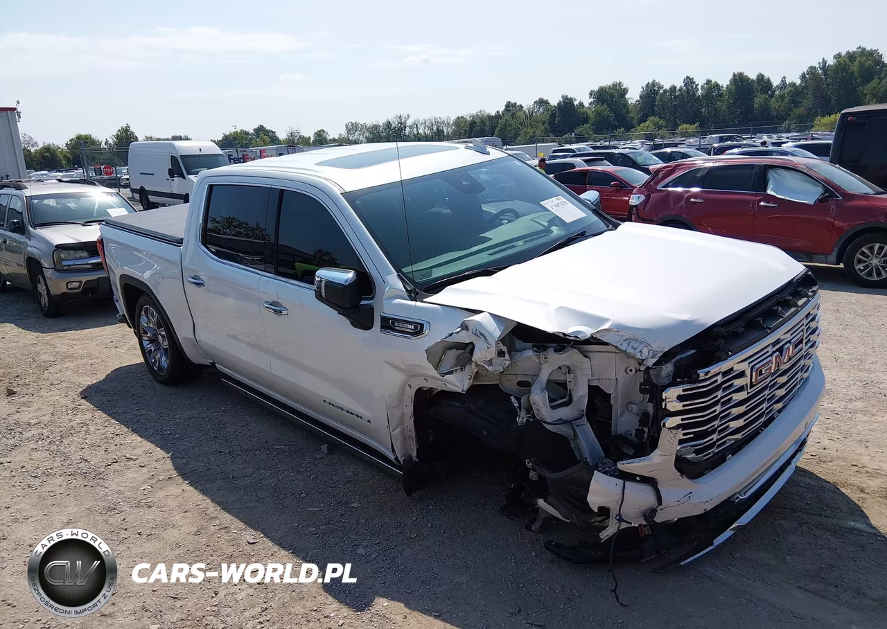 2022 GMC Sierra 1500 4Wd Short Box Denali VIN:3GTUUGETXNG618513 - 6