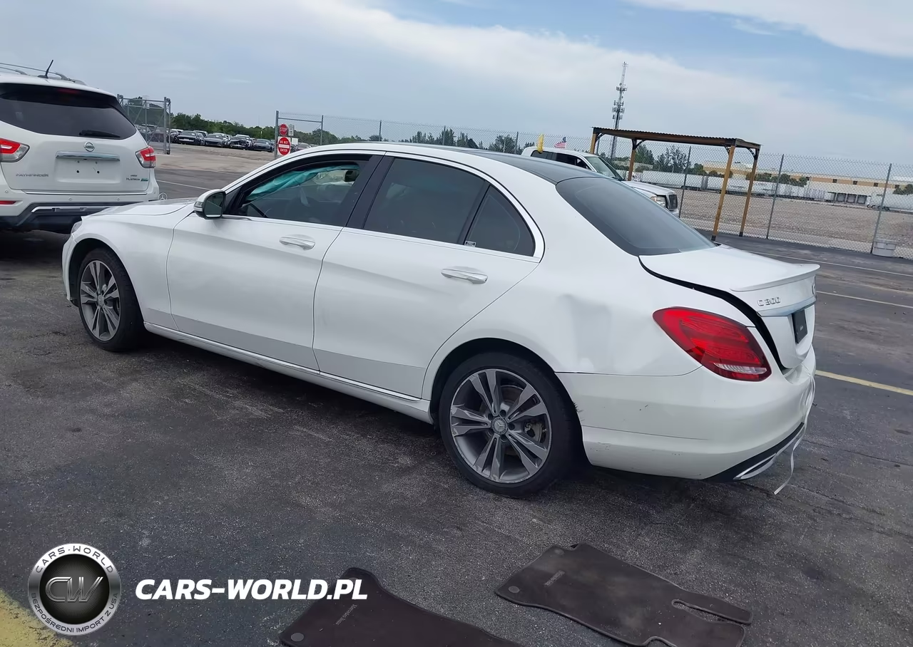 2016 Mercedes-Benz C 300 Luxury VIN:55SWF4JB0GU171227 - 3