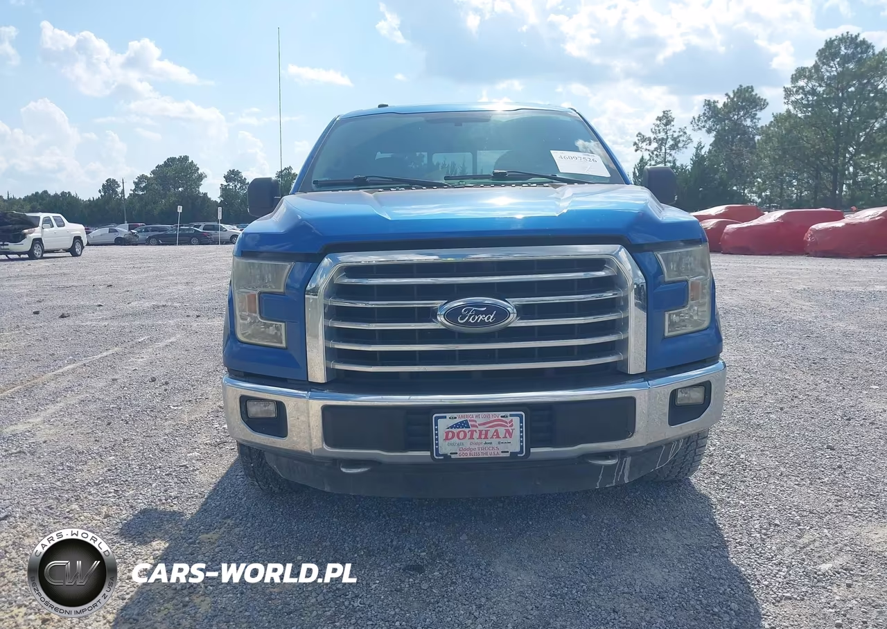 2016 Ford F-150 Xlt VIN:1FTEW1EF7GKD75843 - 12