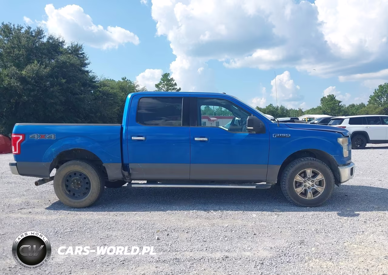2016 Ford F-150 Xlt VIN:1FTEW1EF7GKD75843 - 13