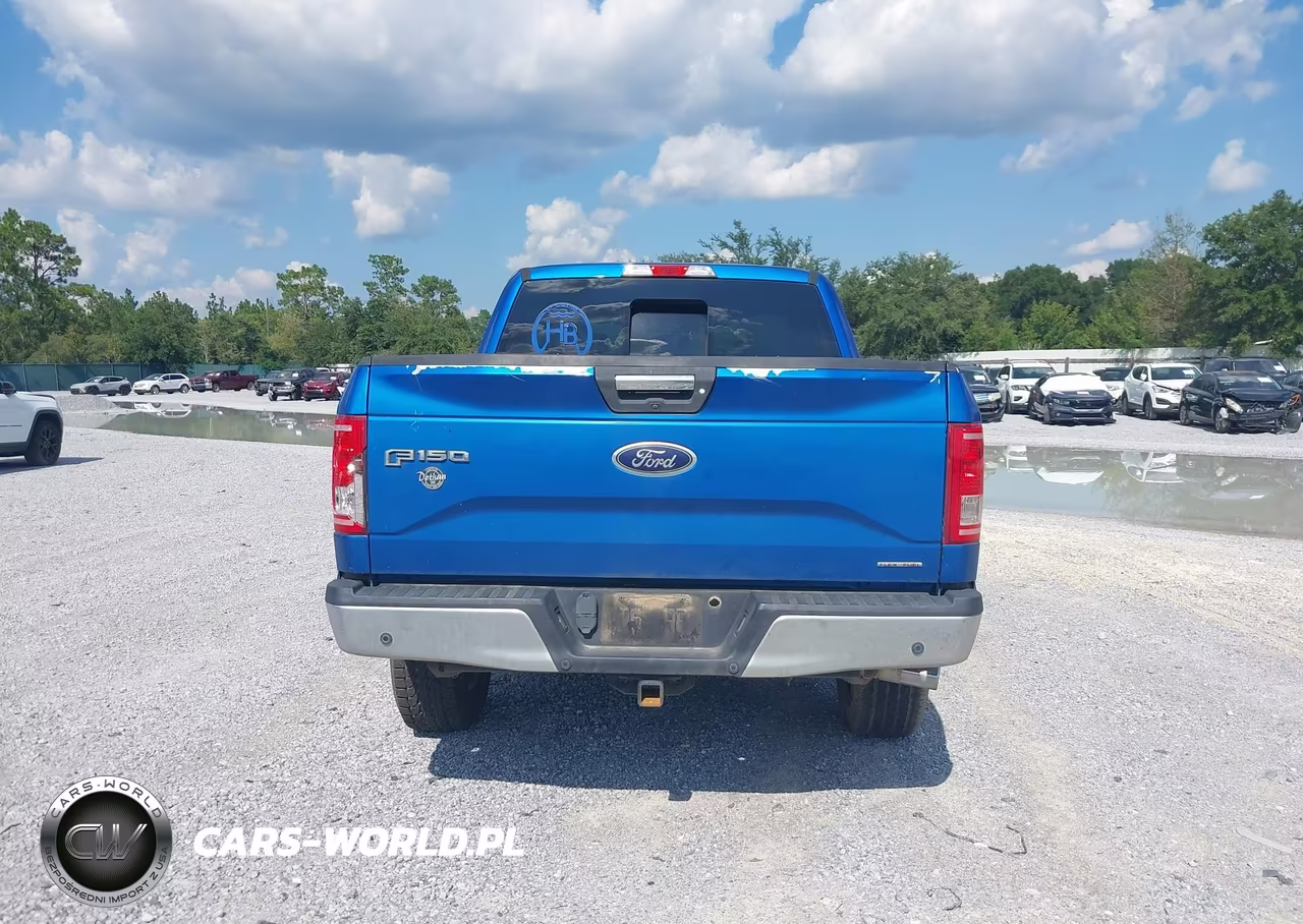 2016 Ford F-150 Xlt VIN:1FTEW1EF7GKD75843 - 16