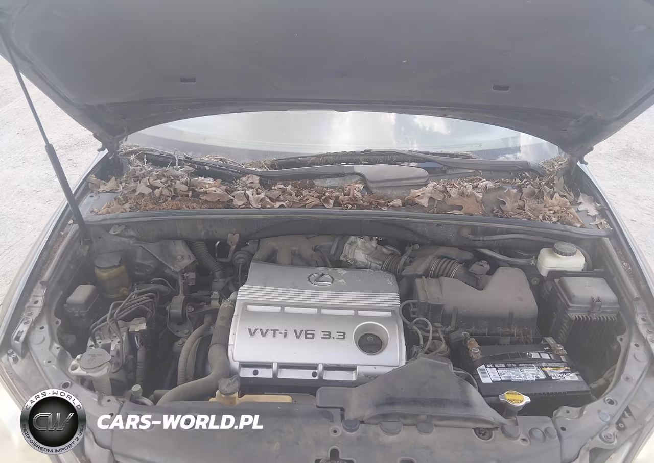 2005 Lexus Rx 330 VIN:2T2GA31U25C030799 - 10