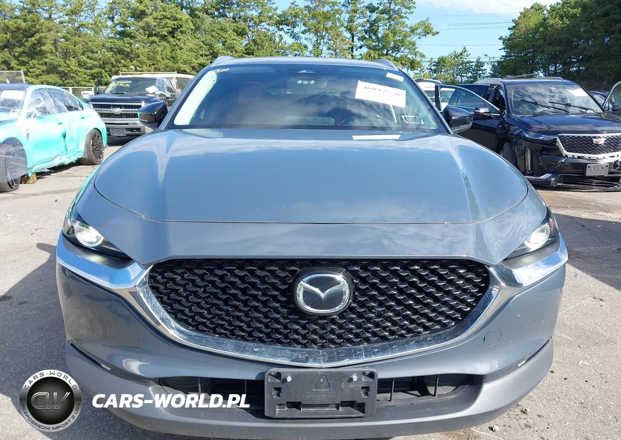 2024 Mazda Cx-30 2.5 S Carbon Edition VIN:3MVDMBCM3RM646089 - 12