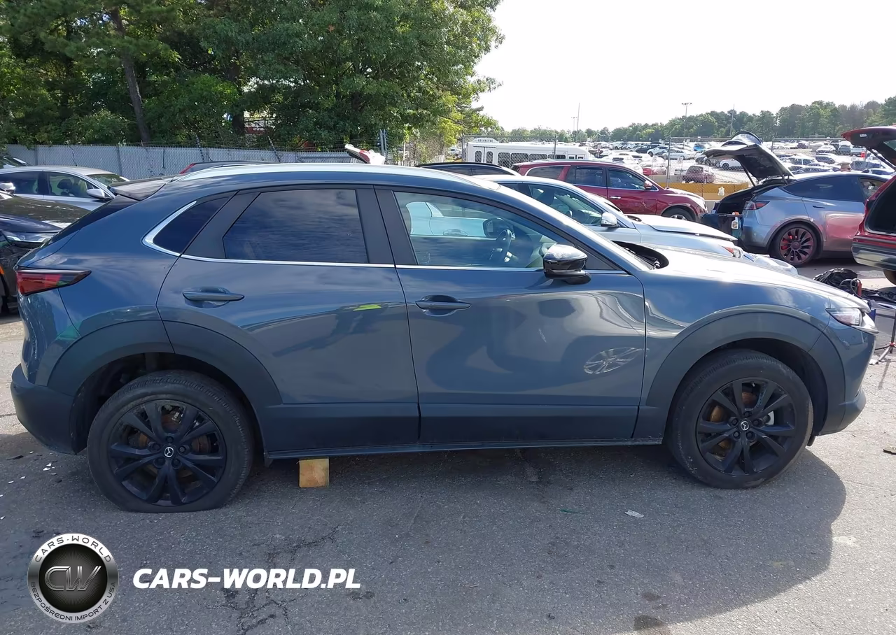 2024 Mazda Cx-30 2.5 S Carbon Edition VIN:3MVDMBCM3RM646089 - 13