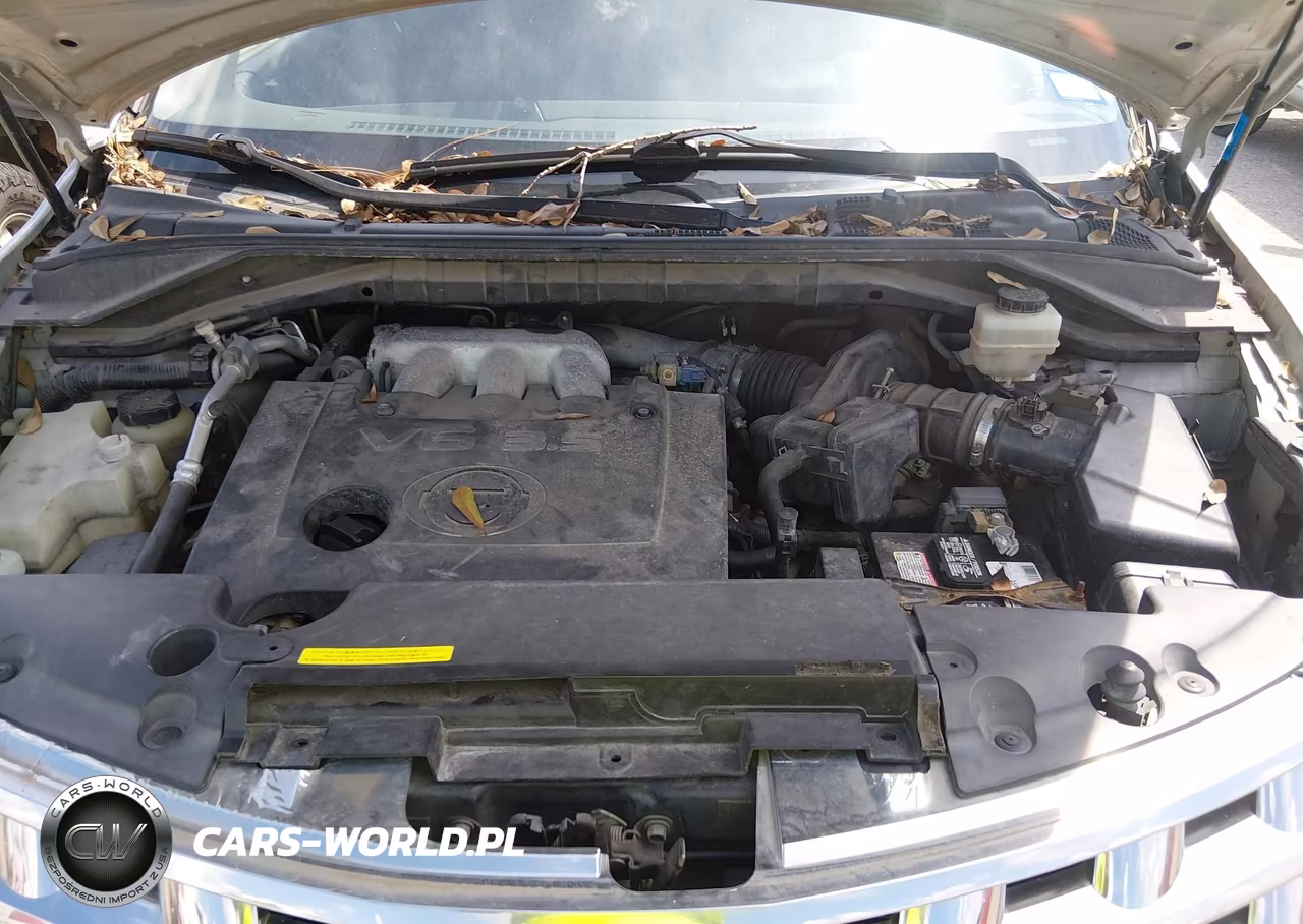 2003 Nissan Murano Sl VIN:JN8AZ08T33W110524 - 10