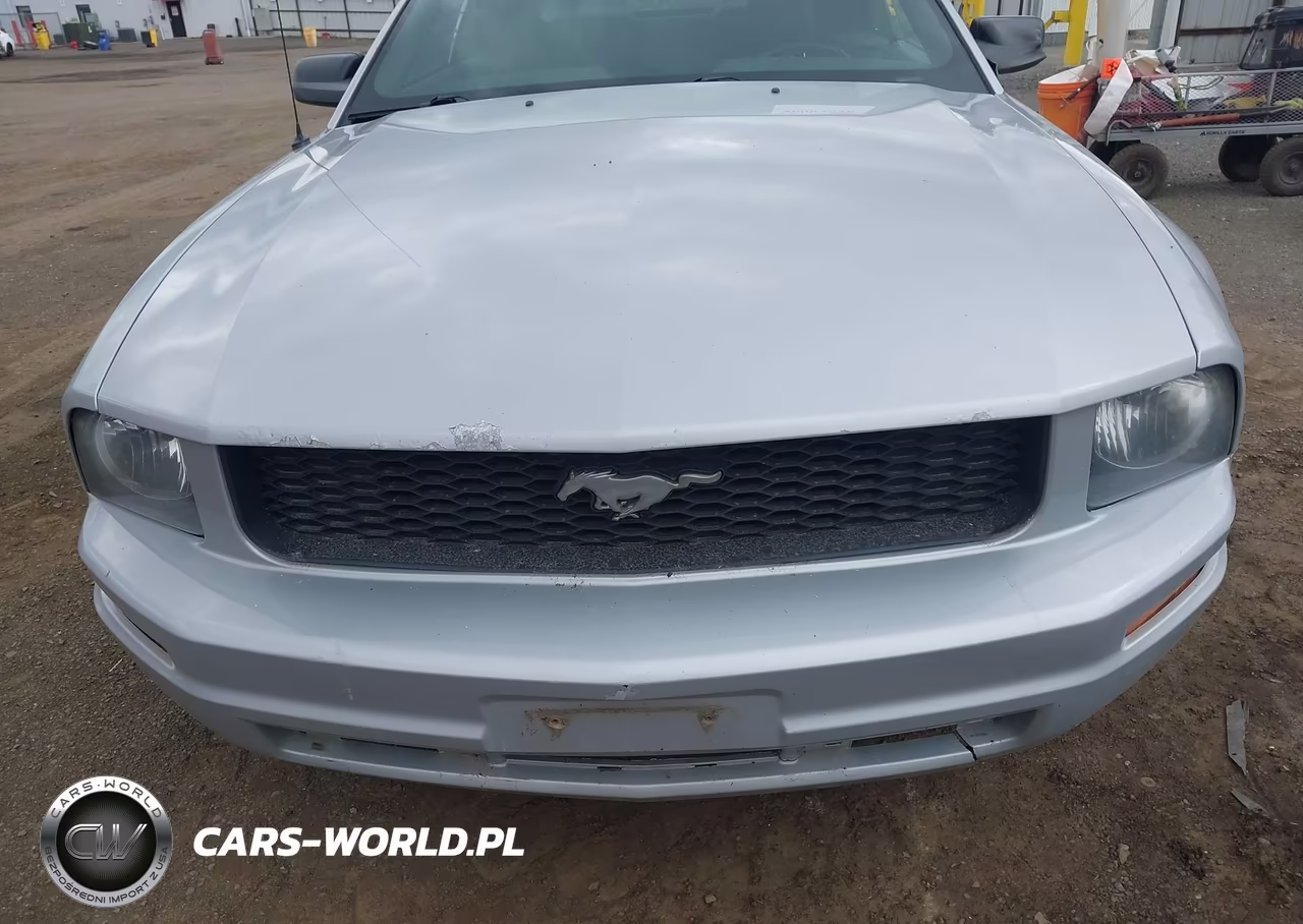 2007 Ford Mustang V6 Deluxe-V6 Premium VIN:1ZVFT84N575201490 - 6