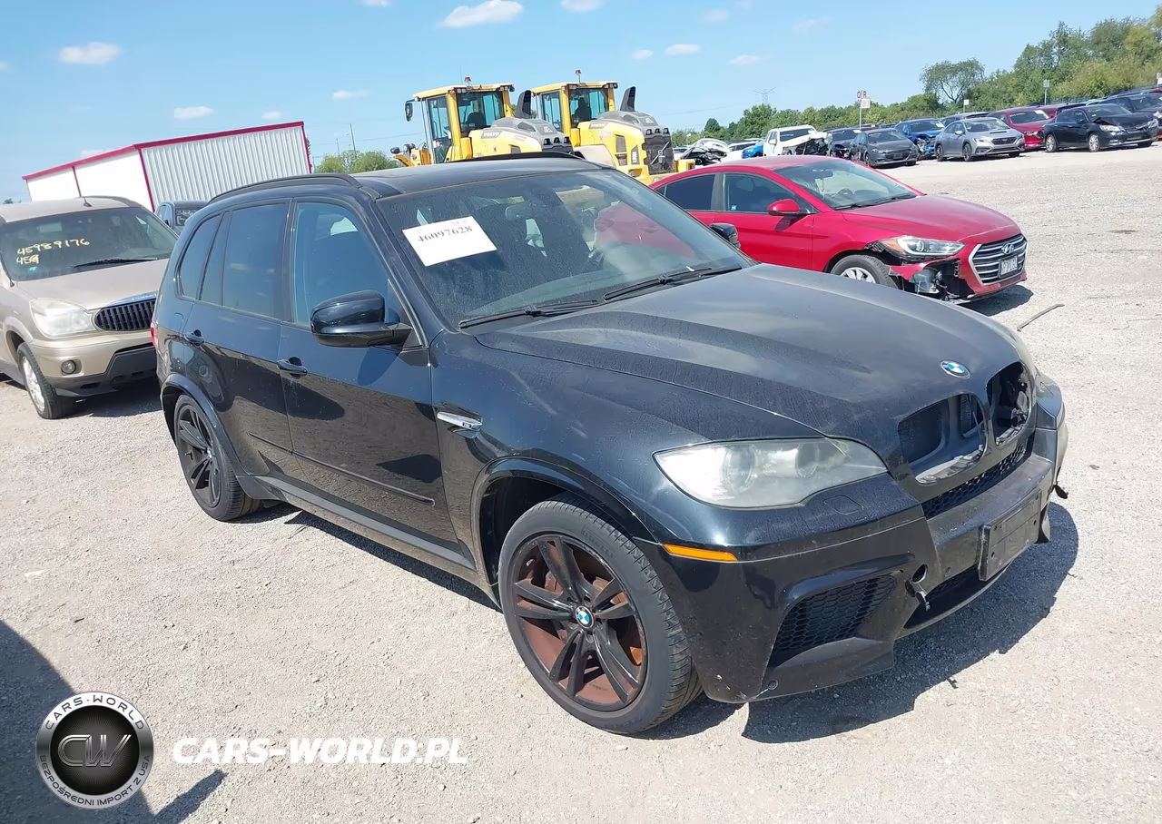 2010 BMW X5 M