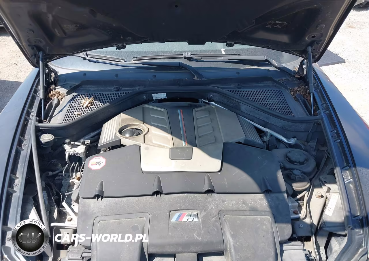 2010 BMW X5 M VIN:5YMGY0C54ALK25141 - 10