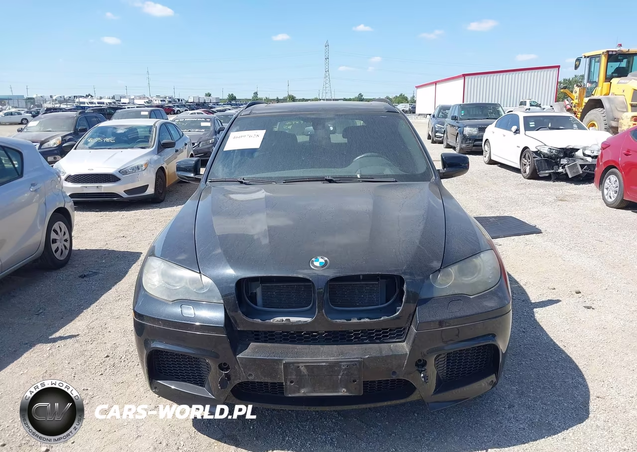 2010 BMW X5 M VIN:5YMGY0C54ALK25141 - 12