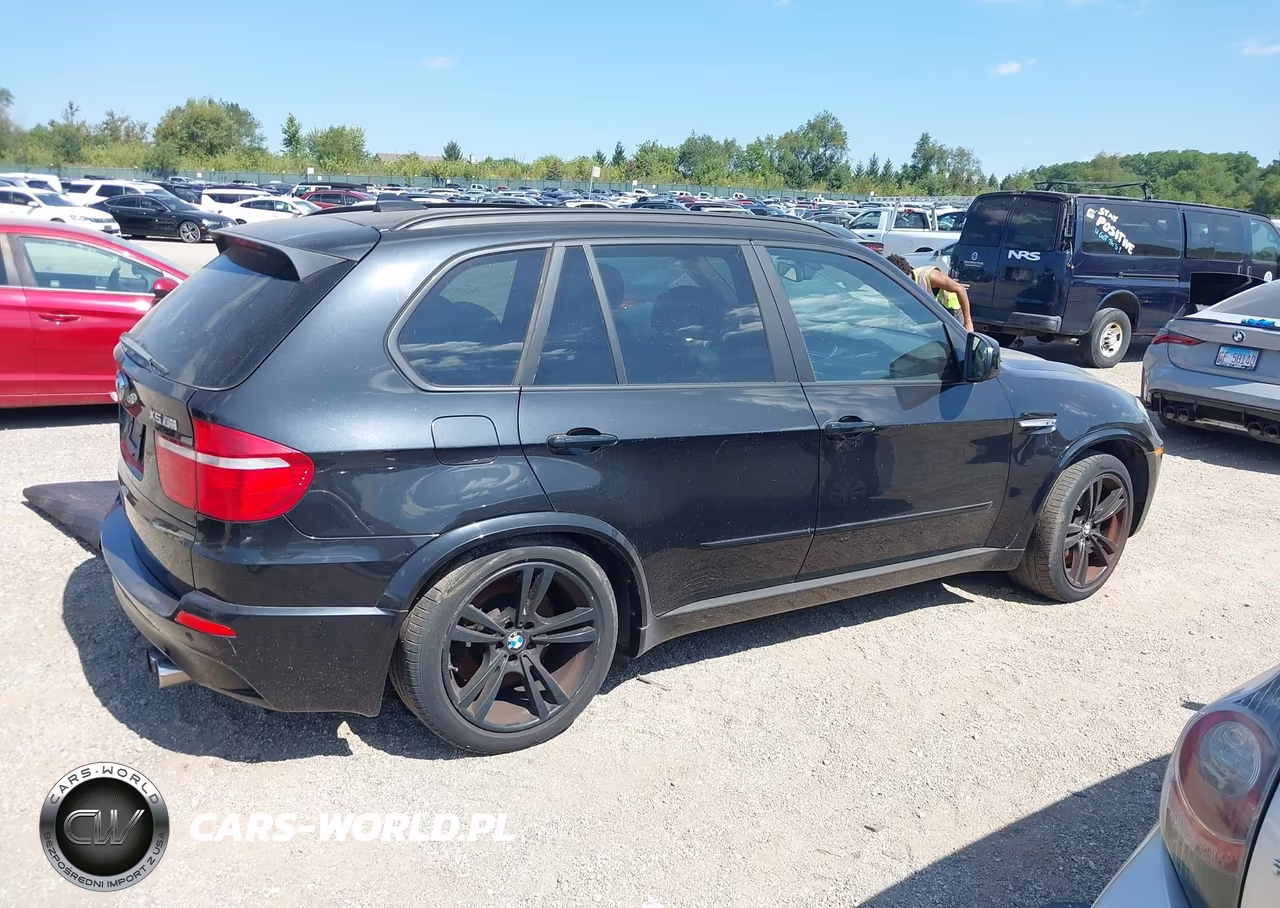 2010 BMW X5 M VIN:5YMGY0C54ALK25141 - 13