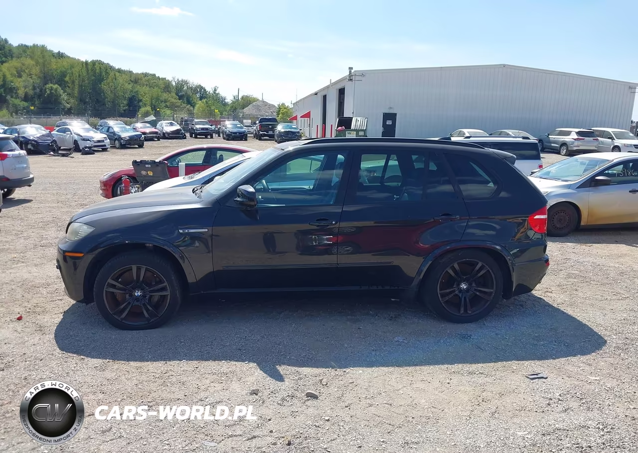 2010 BMW X5 M VIN:5YMGY0C54ALK25141 - 14