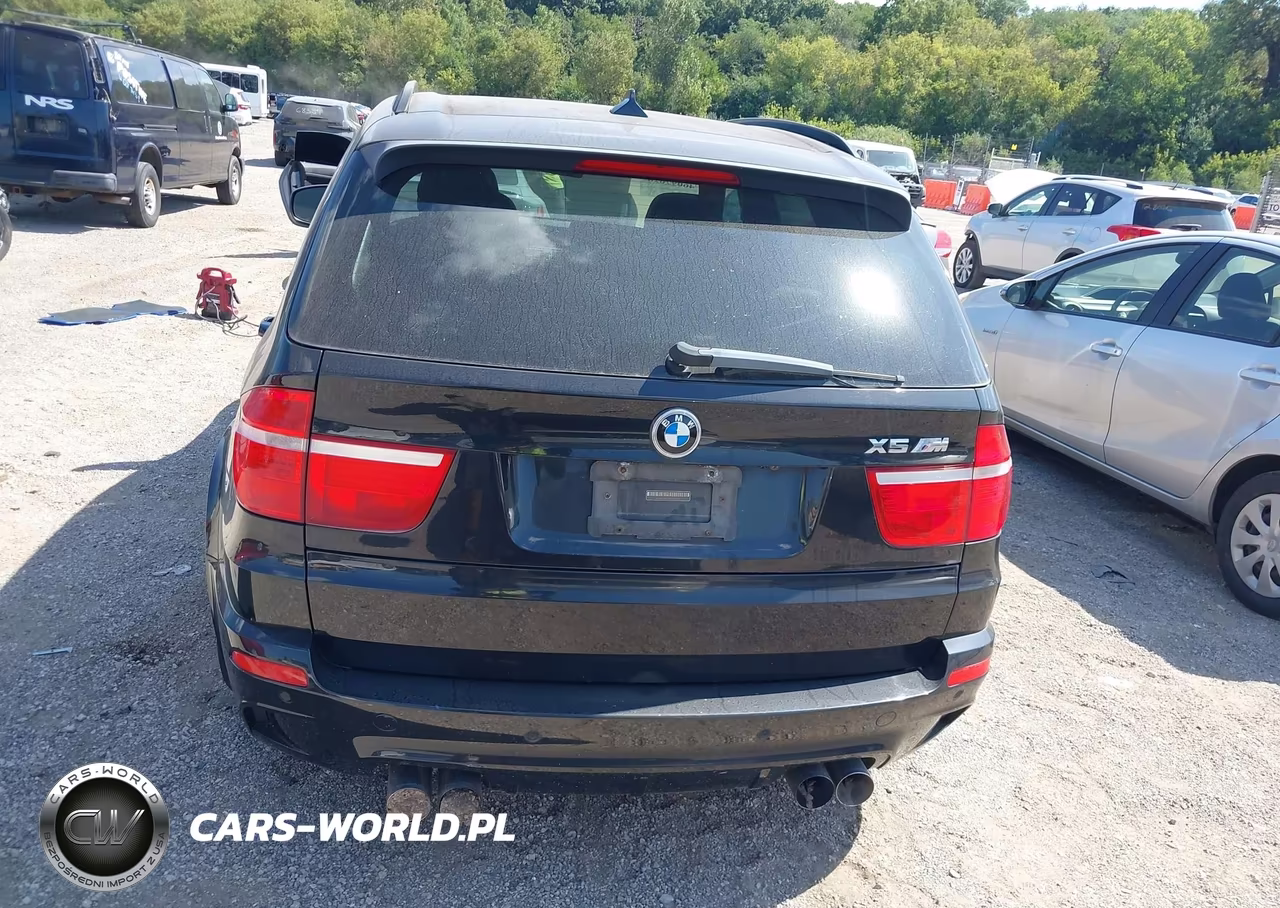 2010 BMW X5 M VIN:5YMGY0C54ALK25141 - 16