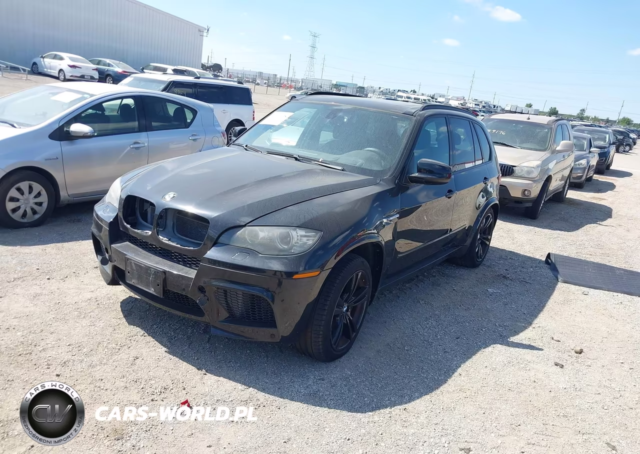 2010 BMW X5 M VIN:5YMGY0C54ALK25141 - 2