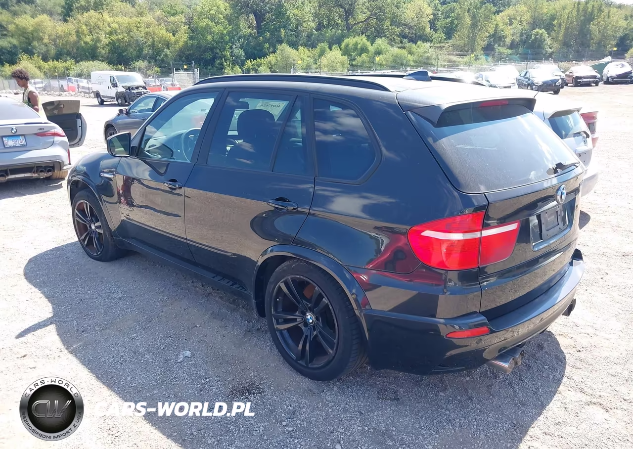 2010 BMW X5 M VIN:5YMGY0C54ALK25141 - 3