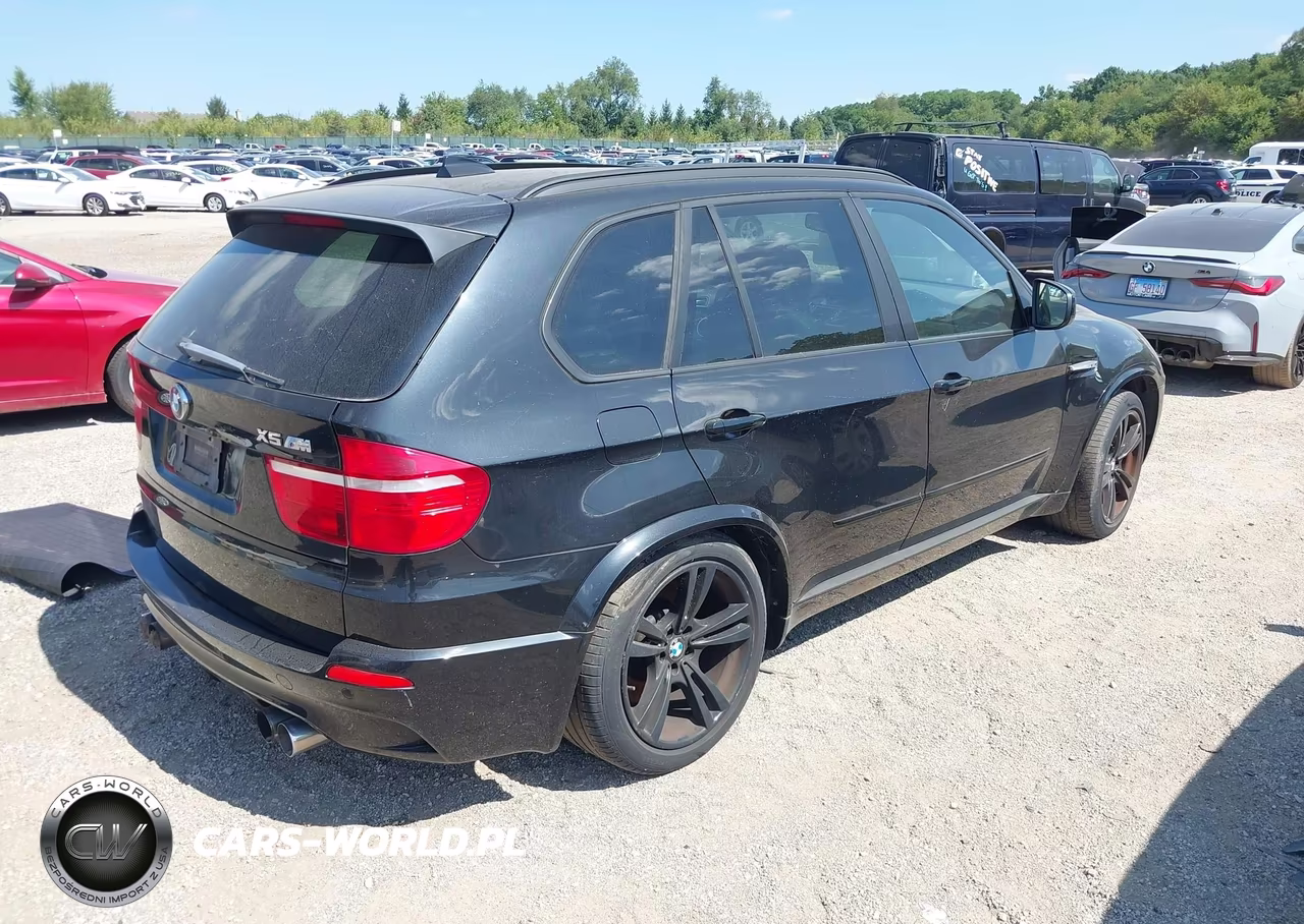 2010 BMW X5 M VIN:5YMGY0C54ALK25141 - 4