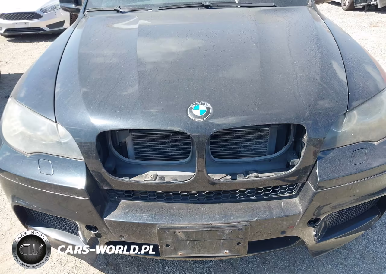 2010 BMW X5 M VIN:5YMGY0C54ALK25141 - 6