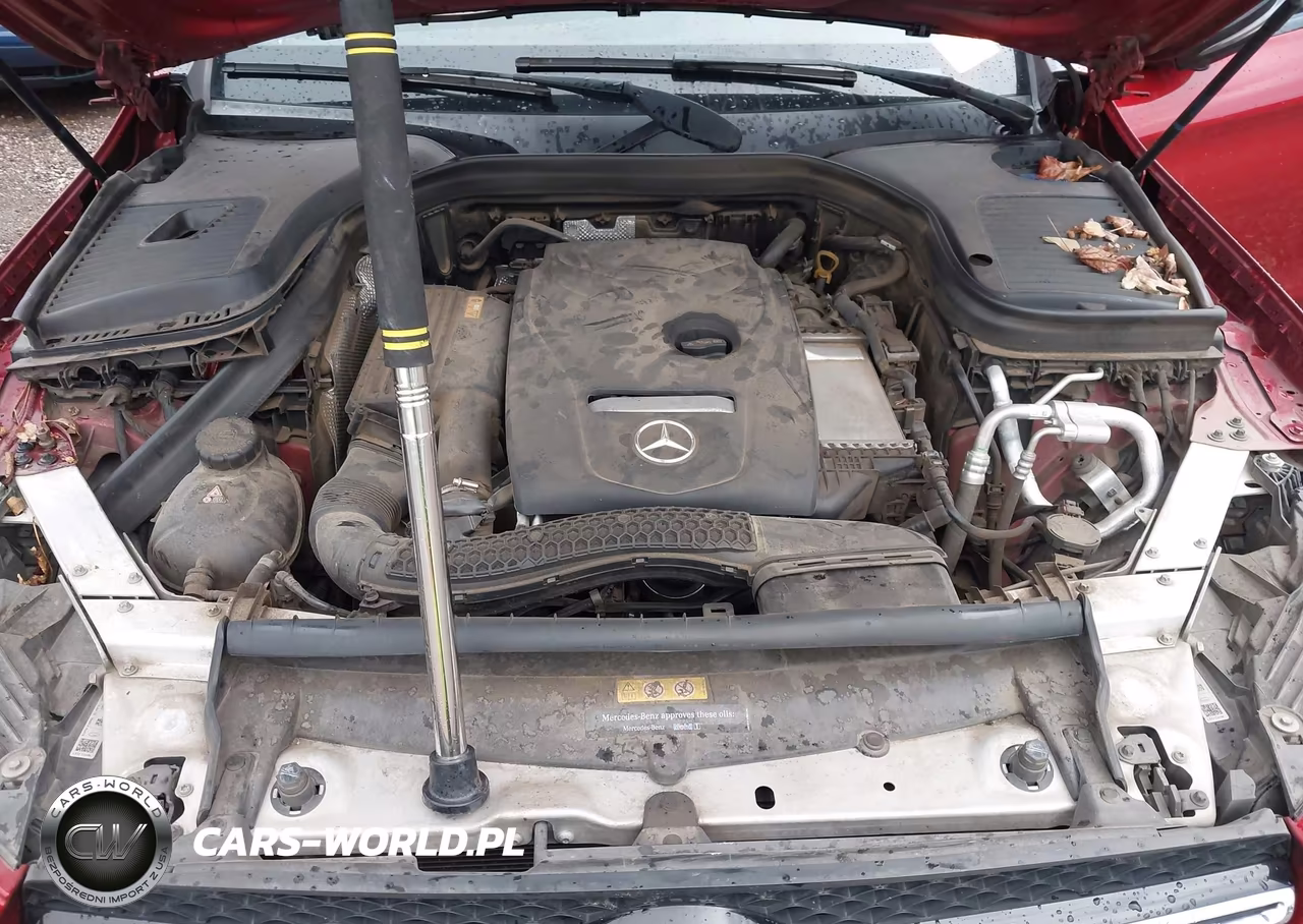2019 Mercedes-Benz Glc 300 VIN:WDC0G4JB8KV124245 - 10