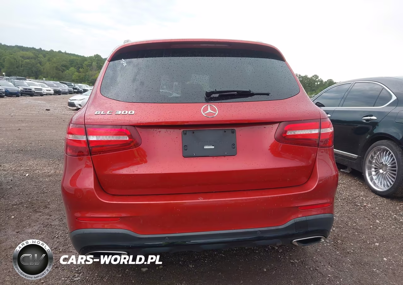 2019 Mercedes-Benz Glc 300 VIN:WDC0G4JB8KV124245 - 16