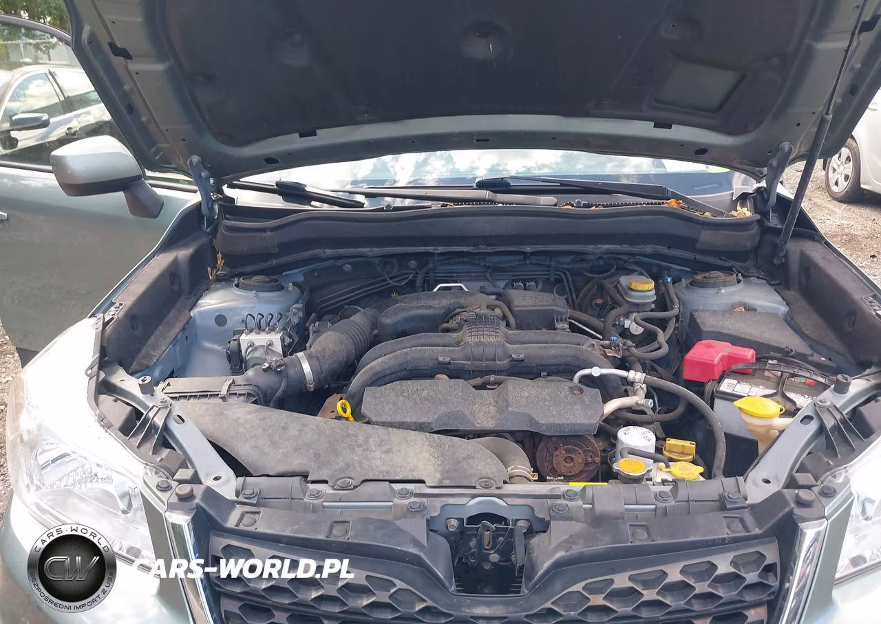 2016 Subaru Forester 2.5I Premium VIN:JF2SJADC8GH527118 - 10