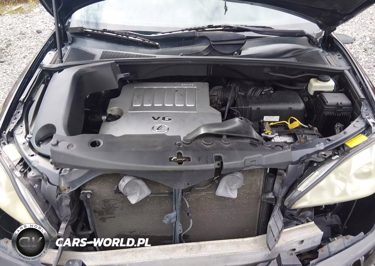 2009 Lexus Rx 350 VIN:2T2HK31U89C129215 - 10