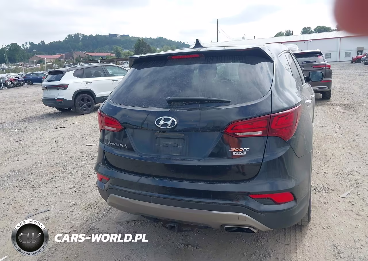 2017 Hyundai Santa Fe Sport 2.4L VIN:5XYZTDLB0HG381003 - 16