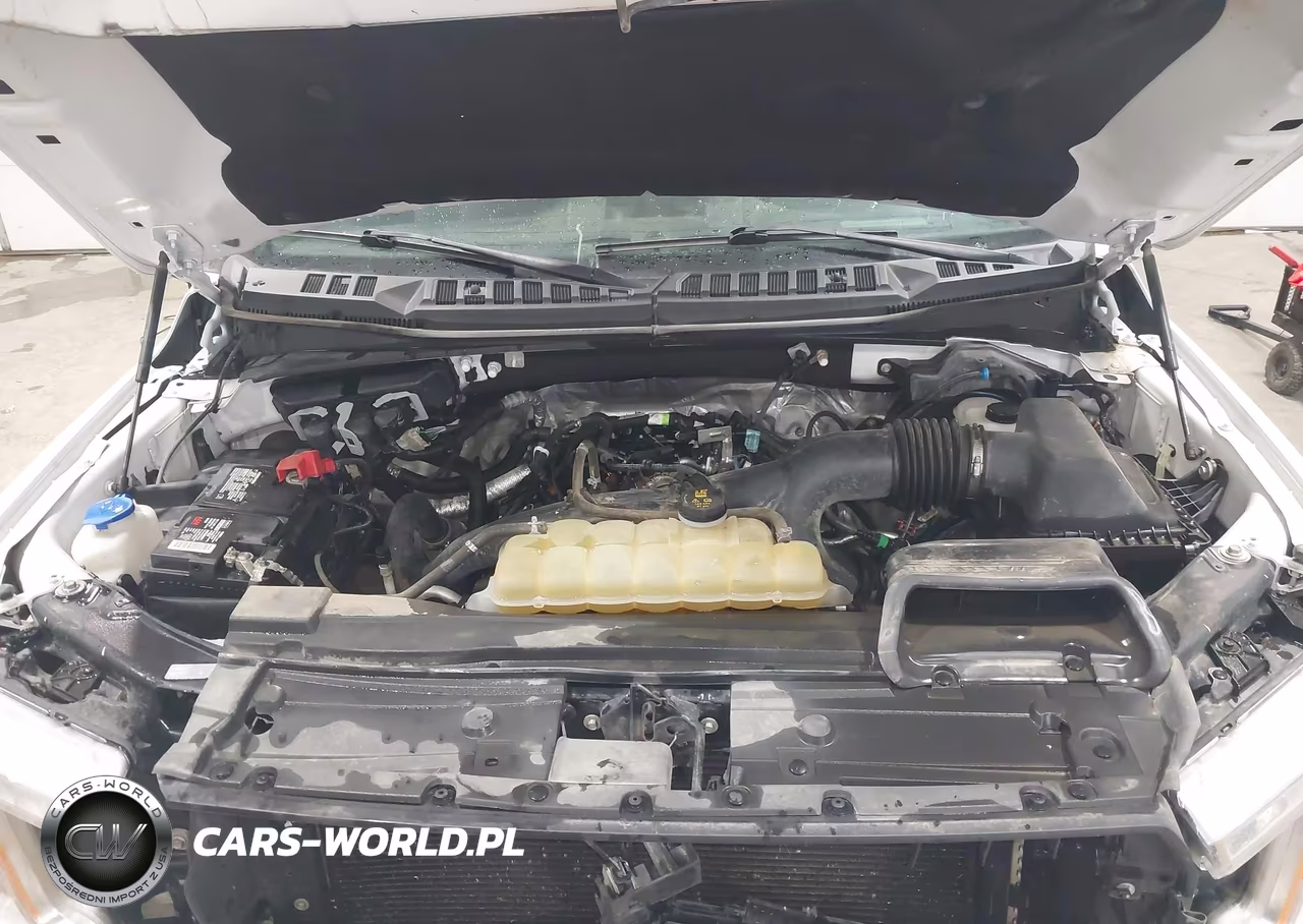 2019 Ford F-150 Xlt VIN:1FTEX1EP0KKD47672 - 10