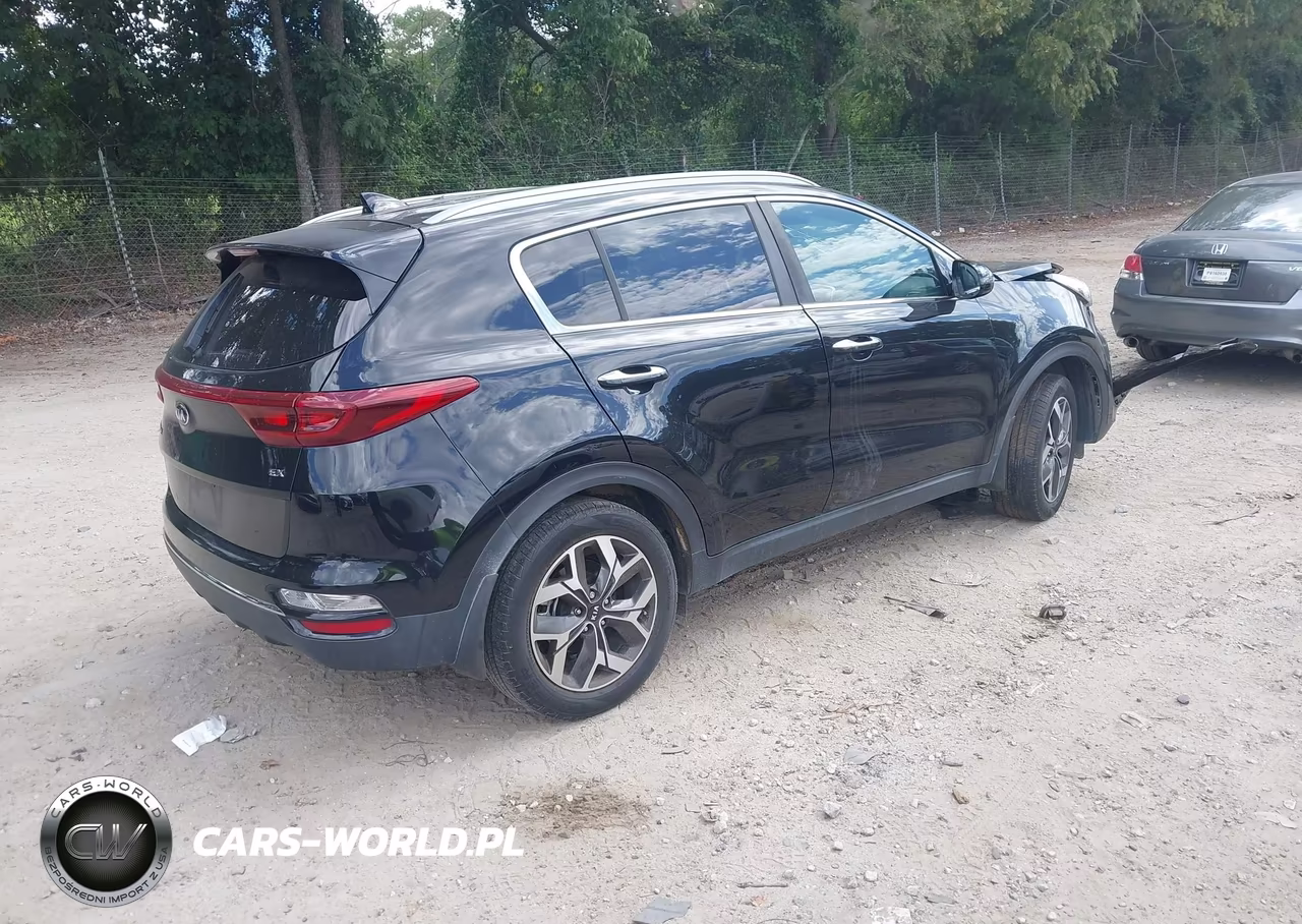 2020 Kia Sportage Ex VIN:KNDPN3AC6L7744434 - 4