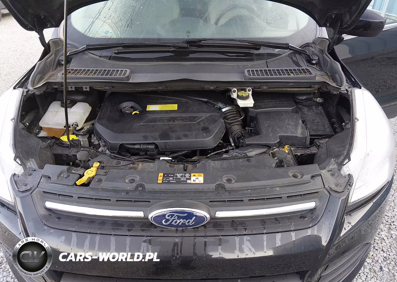 2014 Ford Escape Se VIN:1FMCU9GXXEUD14839 - 10