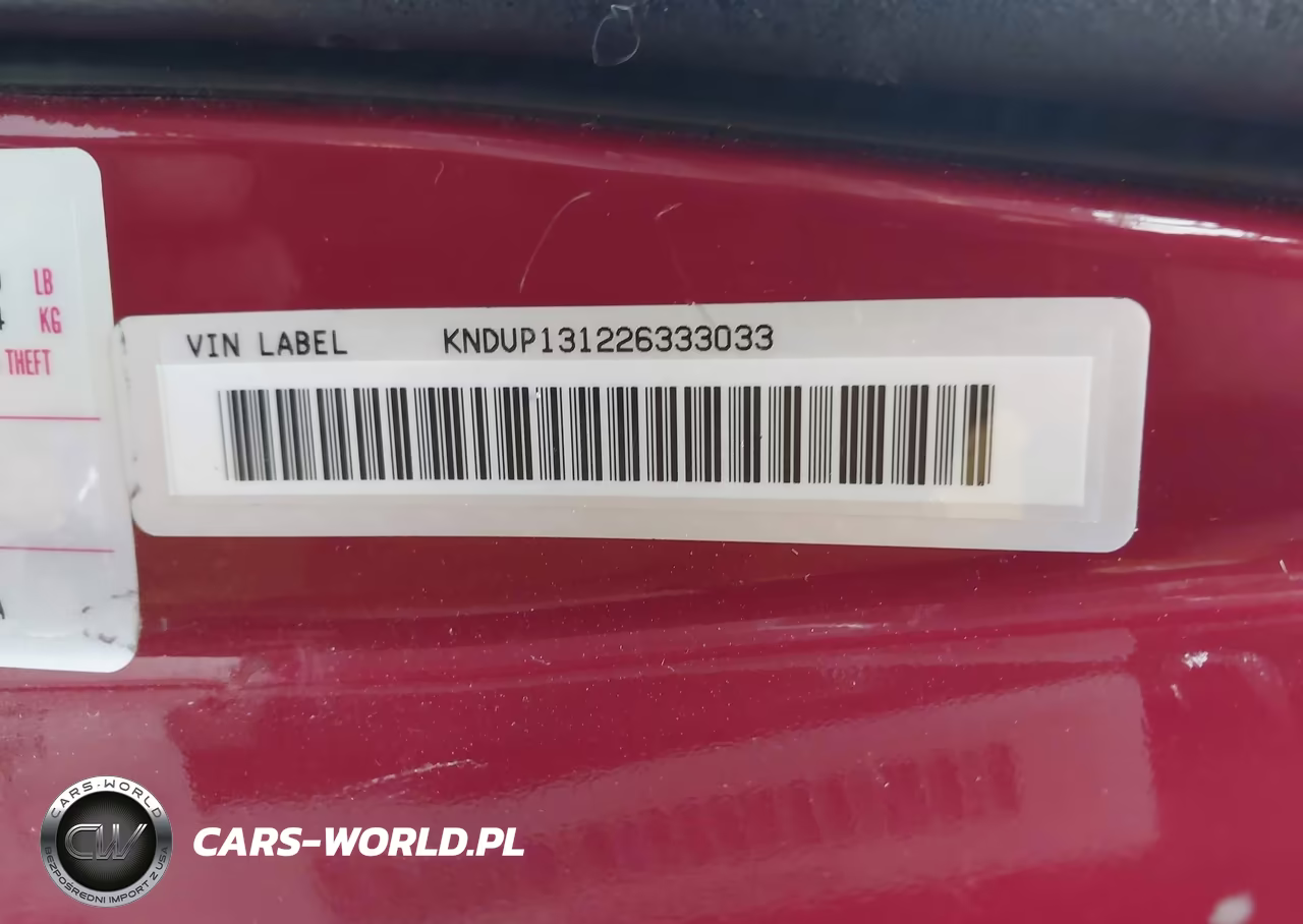 2002 Kia Sedona Ex-Lx VIN:KNDUP131226333033 - 9