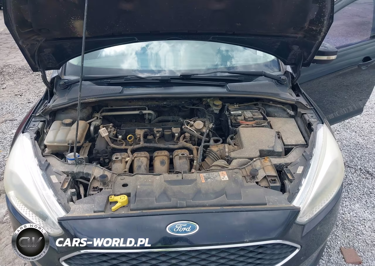 2016 Ford Focus Se VIN:1FADP3K29GL368334 - 10
