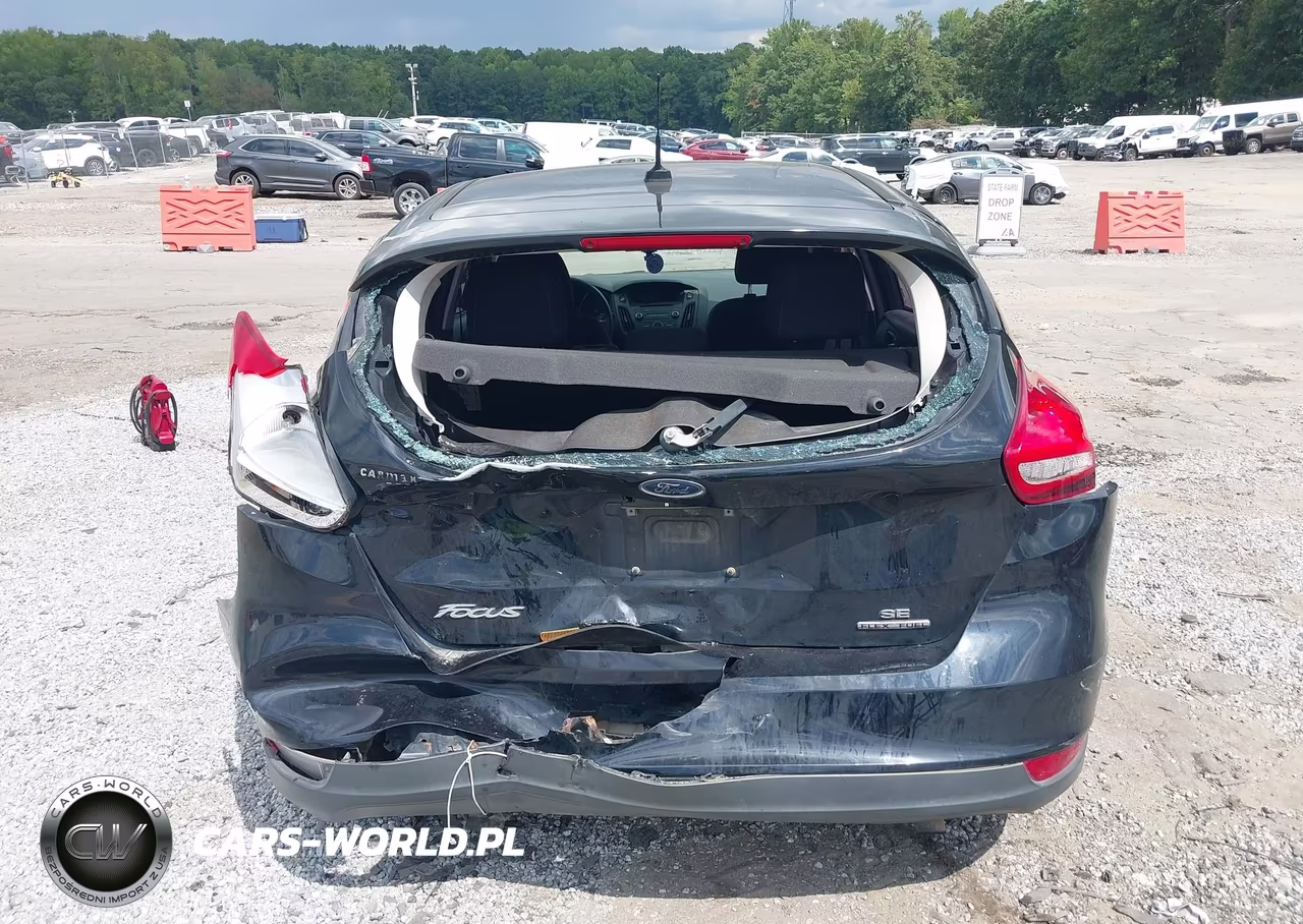 2016 Ford Focus Se VIN:1FADP3K29GL368334 - 17