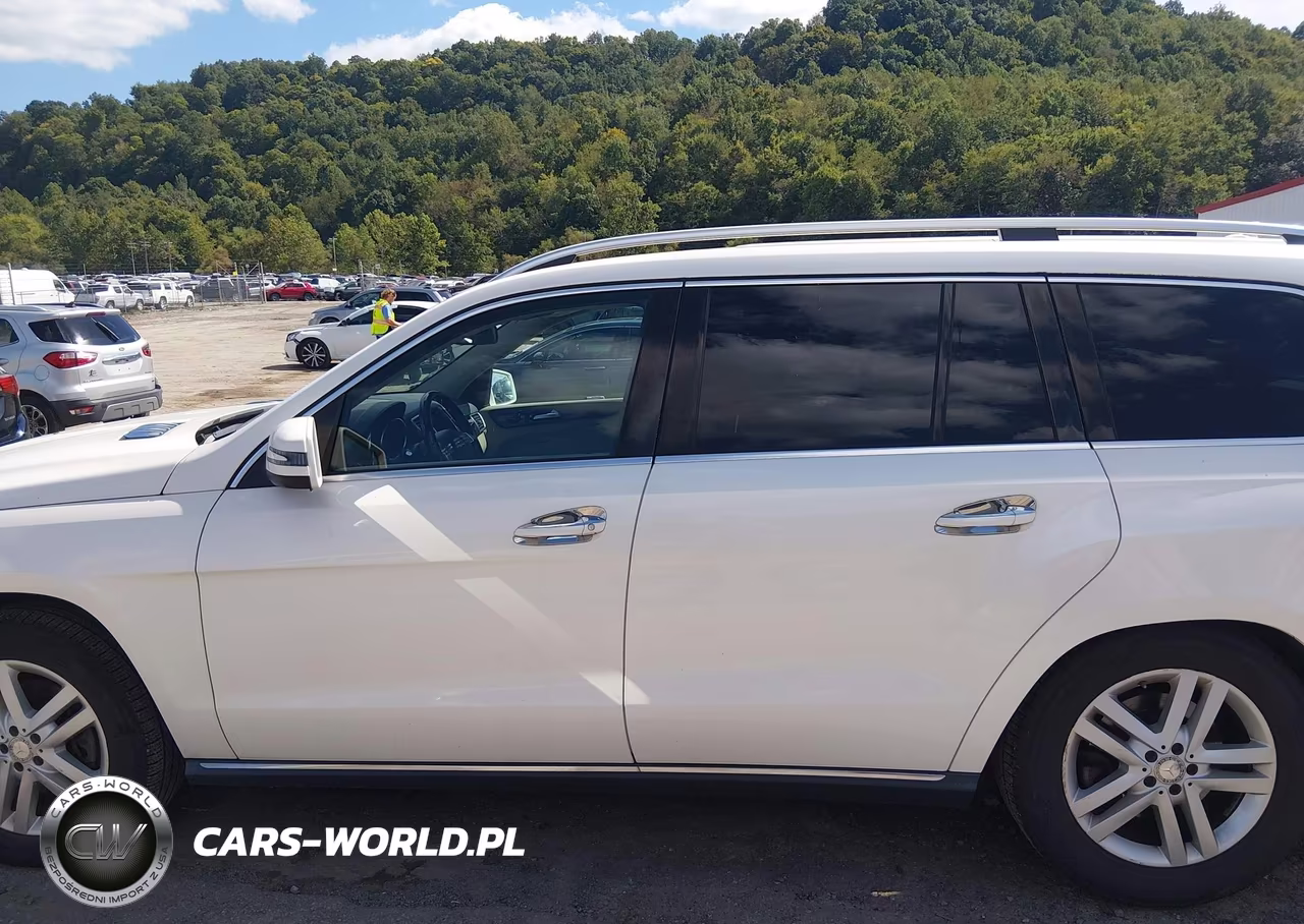 2014 Mercedes-Benz Gl 450 4Matic VIN:4JGDF7CE2EA393366 - 14