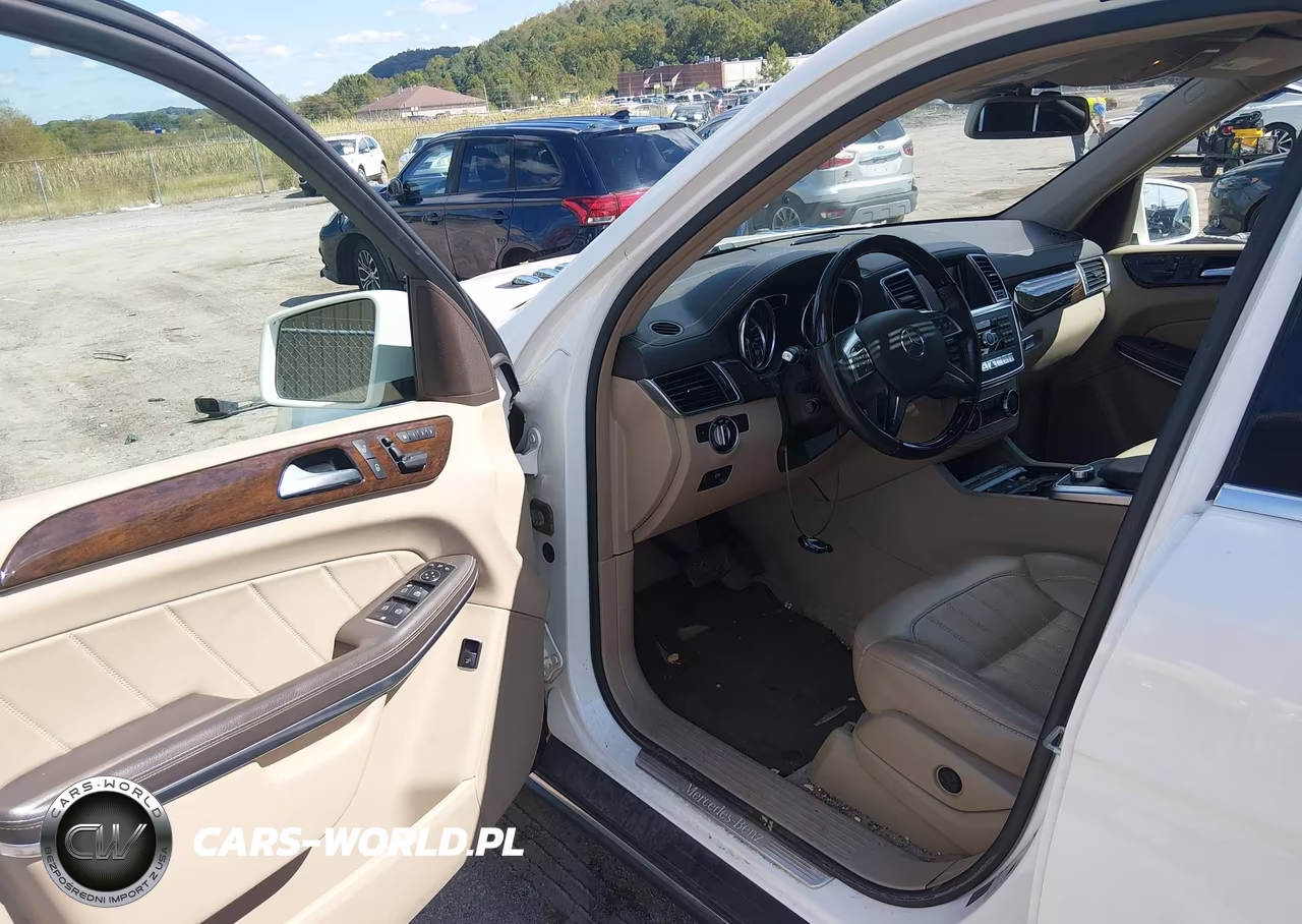 2014 Mercedes-Benz Gl 450 4Matic VIN:4JGDF7CE2EA393366 - 17