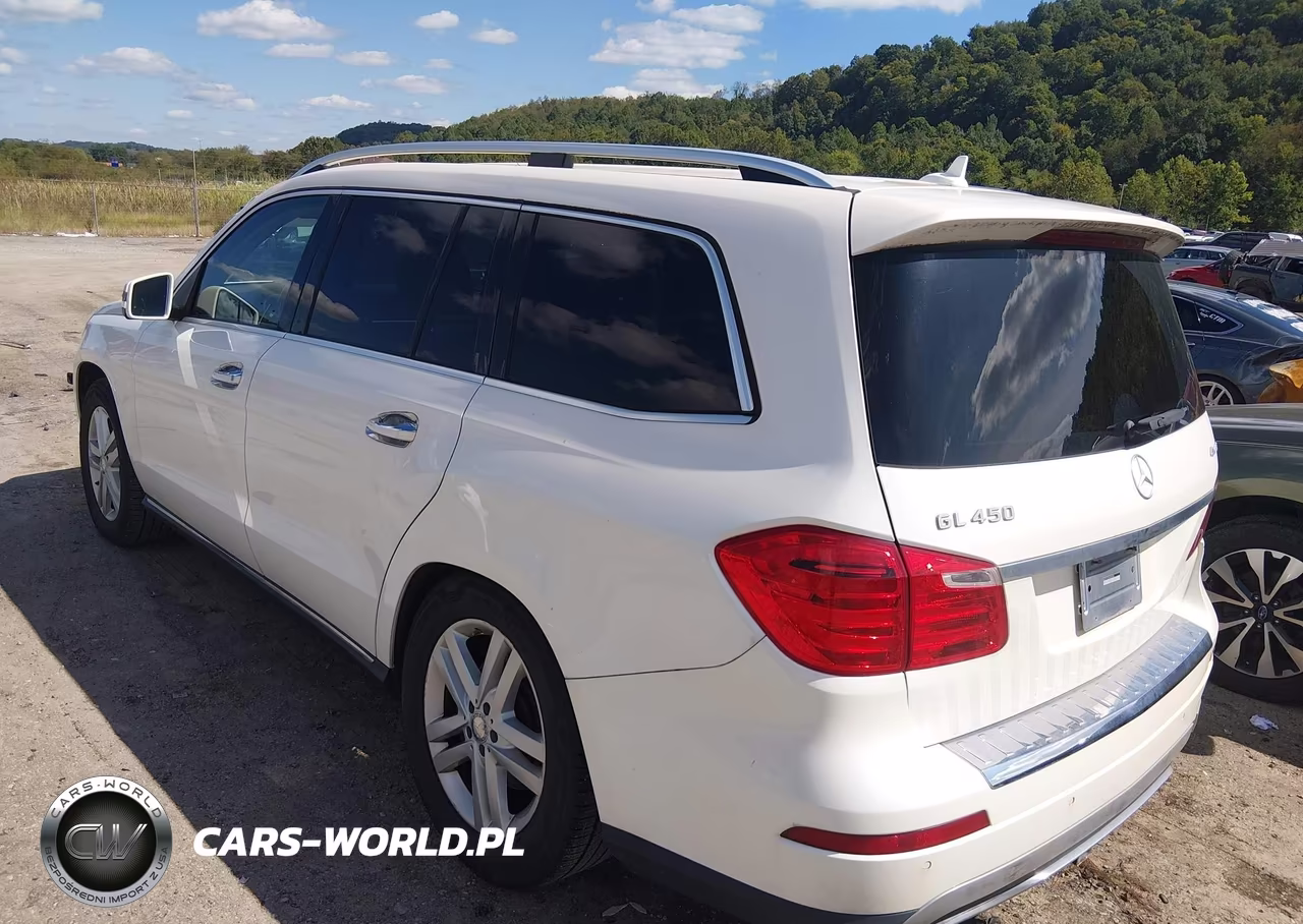 2014 Mercedes-Benz Gl 450 4Matic VIN:4JGDF7CE2EA393366 - 3
