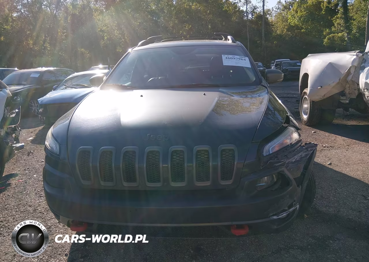 2016 Jeep Cherokee Trailhawk VIN:1C4PJMBS2GW316802 - 12