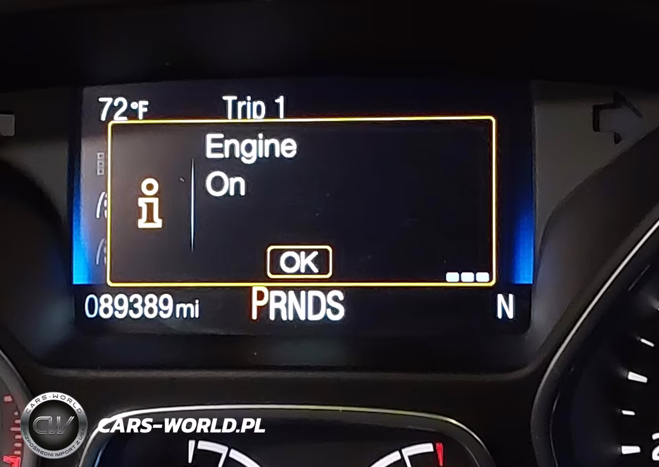 2017 Ford Focus Titanium VIN:1FADP3N2XHL309791 - 16