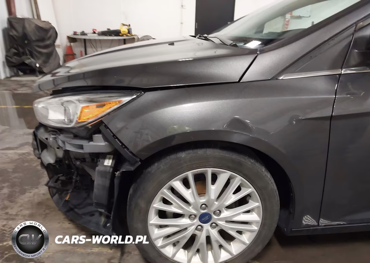 2017 Ford Focus Titanium VIN:1FADP3N2XHL309791 - 20