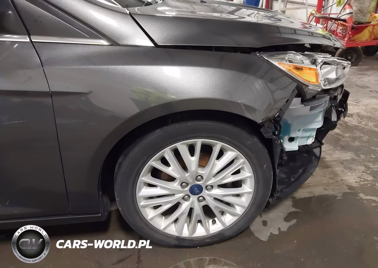 2017 Ford Focus Titanium VIN:1FADP3N2XHL309791 - 21