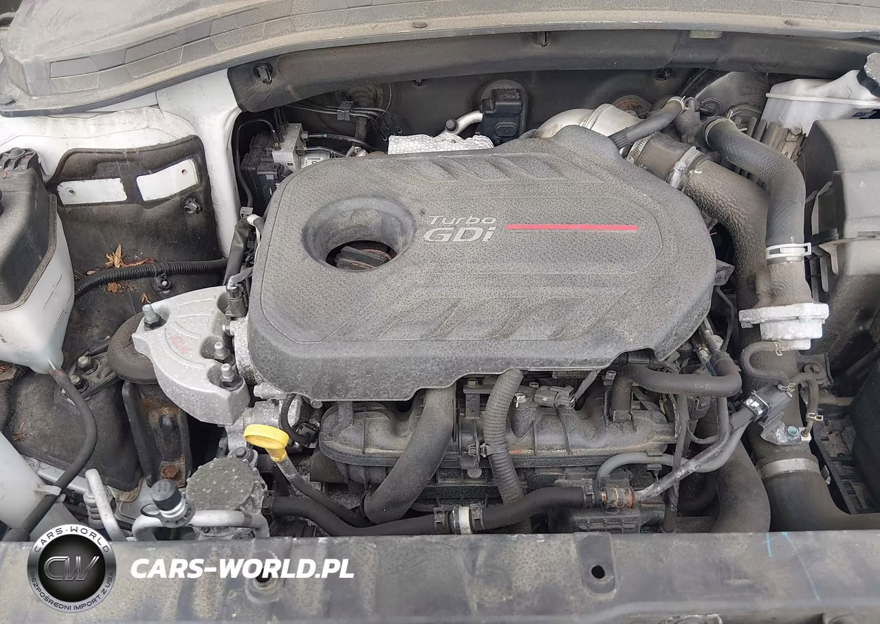 2019 Hyundai Santa Fe Ultimate 2.0T VIN:5NMS5CAAXKH101777 - 10