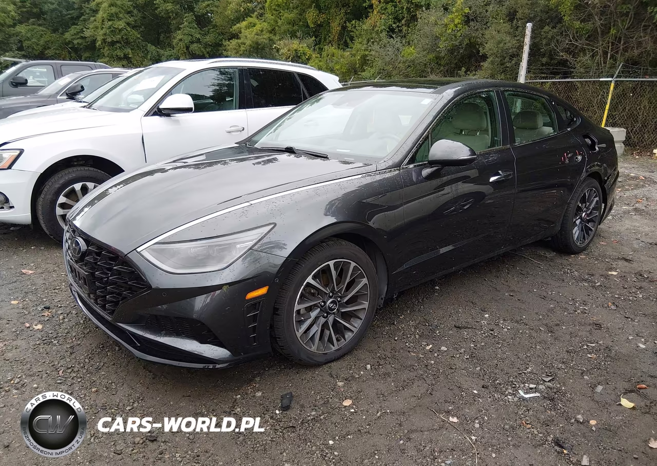 2020 Hyundai Sonata Limited VIN:5NPEH4J25LH021083 - 2