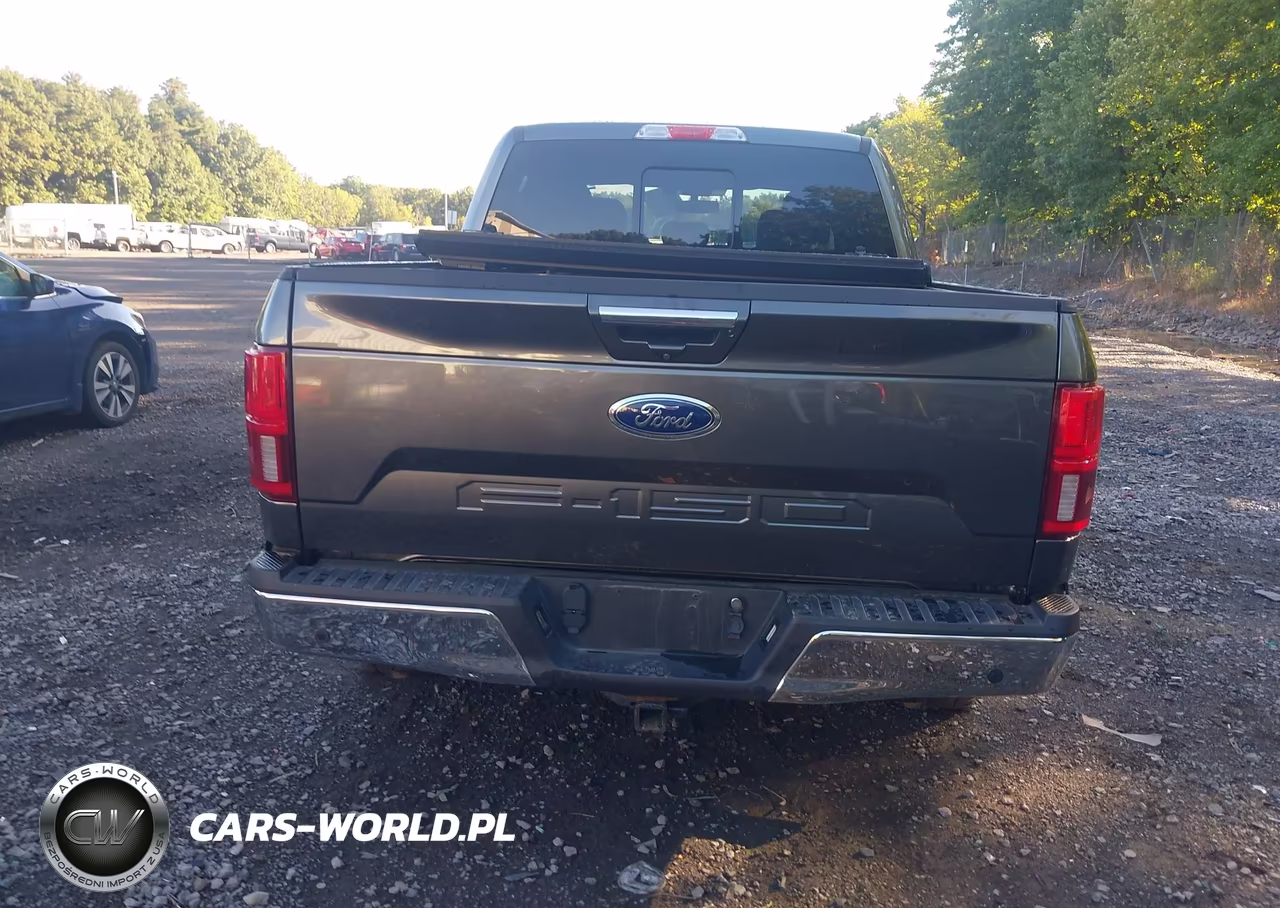 2019 Ford F-150 Lariat VIN:1FTEW1E55KFD48181 - 16